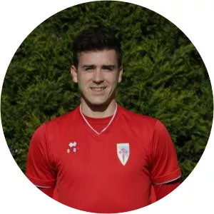 Jesús María Meneses Sabater