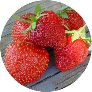 Jewel Strawberry photograph