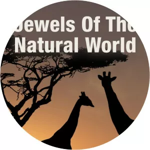 Jewels of the Natural WorldSince 2017