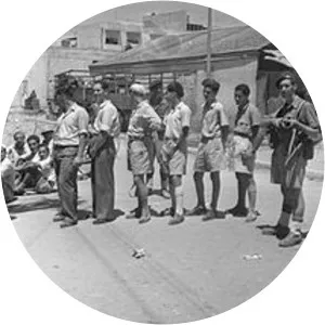 Jewish insurgency in Mandatory Palestine - War