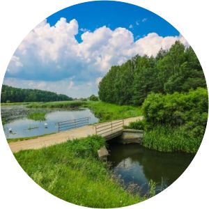 jezioro bogdanskie - Lake in Poland