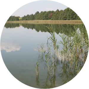 jezioro kierzlinskie