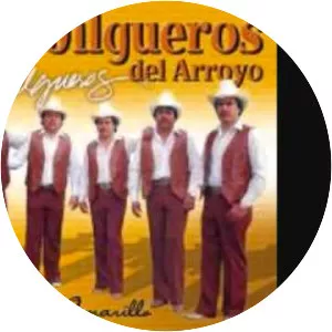 Jilgueros del Arroyo - Musical artist