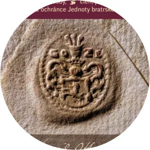 Jindřich Otta z Losu