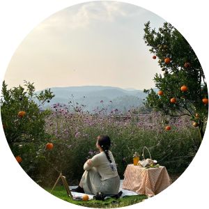 jinju the orange farm