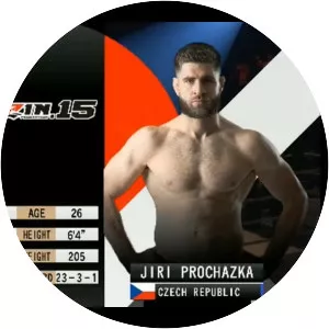 Jiří Procházka - Czech mixed martial artist