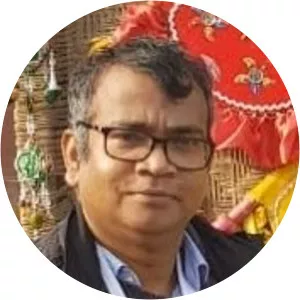 Jitendra K. Bera - Researcher