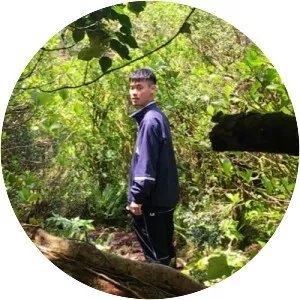 JIVA Nel MONDO - Musical artist