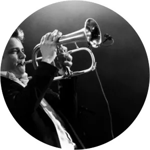 Jo Hermans - Musical artist