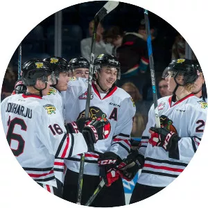 Joachim Blichfeld - Ice hockey player