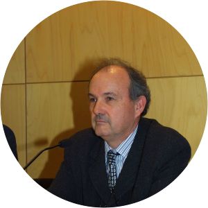 Joan de Solà-Morales i Rubió