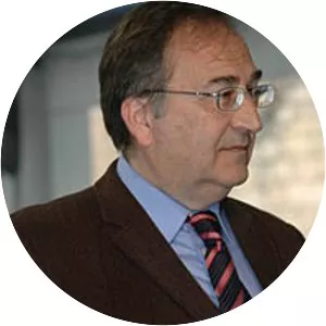 Joan Ferran i Serafini - Politician