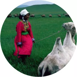 Joan of Arc of Mongolia - 1989 ‧ Drama/Comedy ‧ 2h 45m