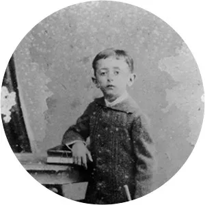 João Ferreira de Araújo Pinho - Politician