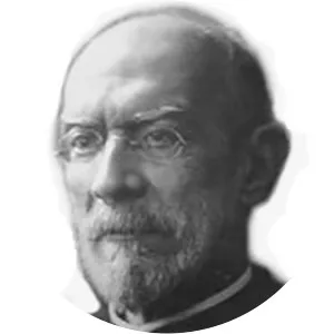 João Mendes de Almeida Júnior