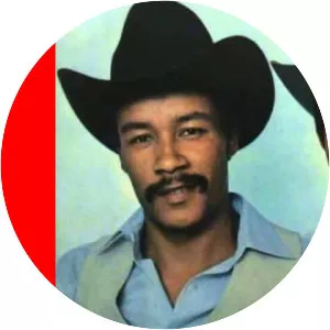 joão mulato & pardinho joão mulato & douradinho