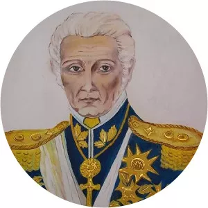 Joaquim Xavier Curado, Count of São João das . . .