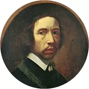 Job Adriaenszoon Berckheyde