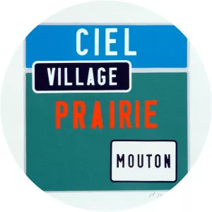 Joel Ducorroy - French visual artist