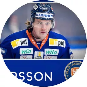 Joel Persson - Ice hockey defenceman