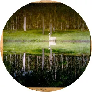 Joel Stern photograph