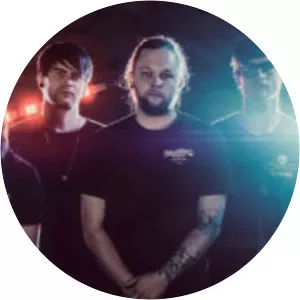 Joey Wilson Musician