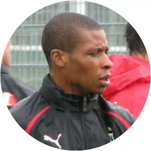 Johan Audel - French football player