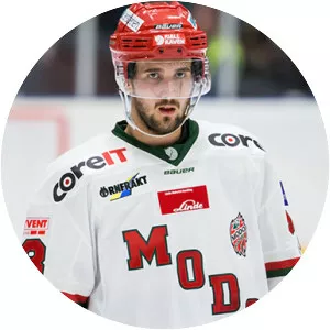 Johan Eriksson - Swedish ice hockey player