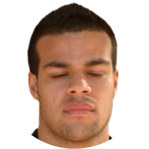 Johan Friberg da Cruz