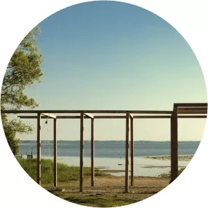 Johann Bertelli - Film director