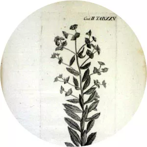 Johann Christian Buxbaum