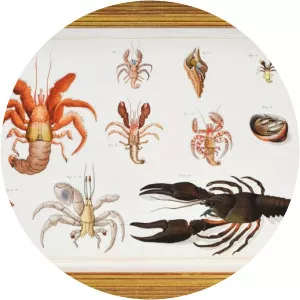 Johann Friedrich Wilhelm Herbst