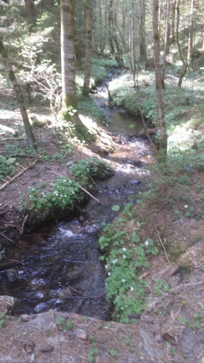 Johann Haselwanter - 