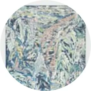 Johannes Vanderbeek photograph