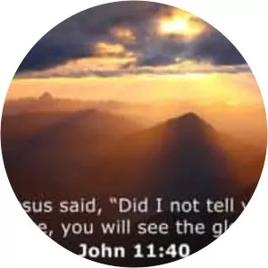 John 11 - 