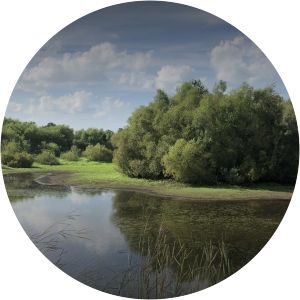 John A. Wannemacher Nature Reserve