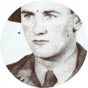 John Elwyn Jones - Translator