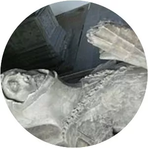 John Fitzalan, 7th Earl of Arundel