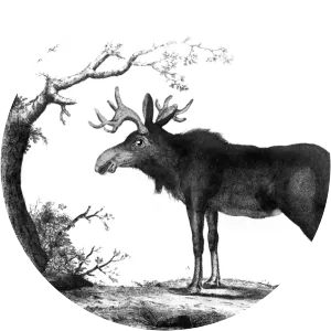 John Frederick Miller