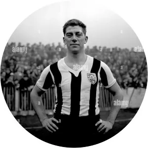 John Harlow - Film director