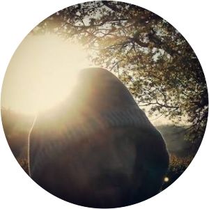 John Reppion - Writer