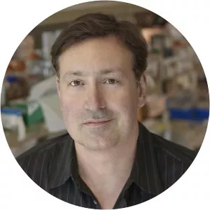 John Stamatoyannopoulos - Researcher