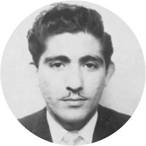 Johnny Grande - Musician