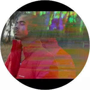 Johnny Rain - Musical artist