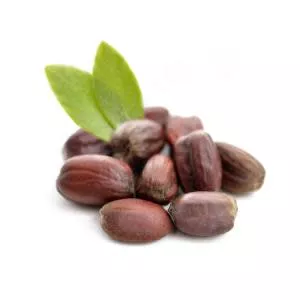 Jojoba