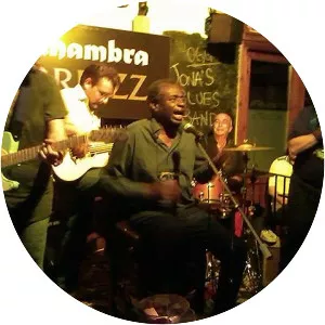 herbie goins jona's blues band