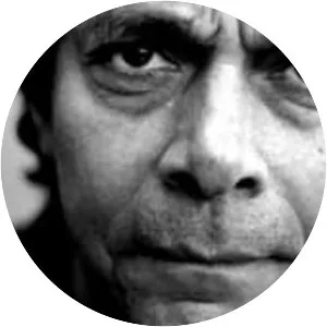 Joop van Wijk - Dutch film director