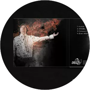 Joost Maglev - Musical artist