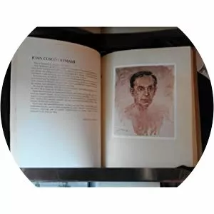 Jordi Aymamí i Roca - Politician