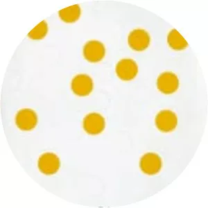 Jorge Pinheiro - Portuguese painter